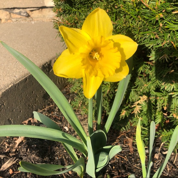 Meet your Posher, Jennifer - Picture 1 of 1